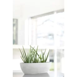 Ecopots Pflanzschale Sofia Lang Weiß 56 Cm X 14 Cm X 16 Cm -Schwingen Sie Ihre Topfpflanzen. 00 SofiaLong56PureWhite 90