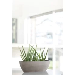 Ecopots Pflanzschale Sofia Lang Braungrau 56 Cm X 14 Cm X 16 Cm -Schwingen Sie Ihre Topfpflanzen. 012100 SofiaLong56Taupe 90