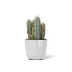 Ecopots Pflanztopf Oslo Mini Weiß 16 Cm X 14 Cm -Schwingen Sie Ihre Topfpflanzen. 1012100 Oslo16PureWhite 02