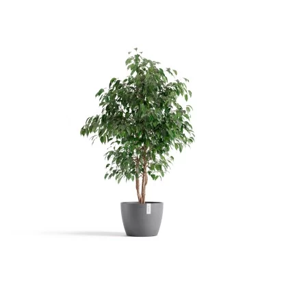 Ecopots Pflanztopf Stockholm Grau 31 Cm X 23,3 Cm 2 Ecopots Pflanztopf Stockholm Grau 31 Cm X 23,3 Cm – Bild 2