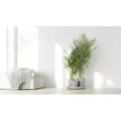 Ecopots Pflanztopf Dubai Weißgrau 56 Cm X 30 Cm -Schwingen Sie Ihre Topfpflanzen. 11012100 DubaiWhiteGrey 90