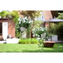 Elho Hängeampel Vibia Campana Ø 26 Cm X 18 Cm Living Beton -Schwingen Sie Ihre Topfpflanzen. 1117217 4667 3