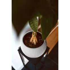 Capi Pflanztopf Groove Kugel Elfenbein 30 Cm X 25 Cm -Schwingen Sie Ihre Topfpflanzen. 113957 4091 03