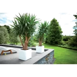 Elho Blumentopf Pure Soft Brick Rollen 40 Cm X 40 Cm X 39 Cm Weiß -Schwingen Sie Ihre Topfpflanzen. 1370816 4667 3