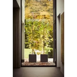 Elho Blumentopf Pure Soft Brick Rollen 50 Cm X 40 Cm X 39 Cm Anthrazit 6 Elho Blumentopf Pure Soft Brick Rollen 50 Cm X 40 Cm X 39 Cm Anthrazit -Schwingen Sie Ihre Topfpflanzen. 1372051 4667 3