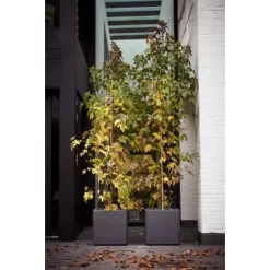 Elho Blumentopf Pure Soft Brick Rollen 50 Cm X 40 Cm X 39 Cm Anthrazit 7 Elho Blumentopf Pure Soft Brick Rollen 50 Cm X 40 Cm X 39 Cm Anthrazit -Schwingen Sie Ihre Topfpflanzen. 1372051 4667 4