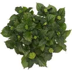 Bauernhortensie "Three Sisters" Höhe Ca. 30 - 40 Cm Topf Ca. 6 L Hydrangea 13 Bauernhortensie "Three Sisters" Höhe Ca. 30 - 40 Cm Topf Ca. 6 L Hydrangea -Schwingen Sie Ihre Topfpflanzen. 145673 3358 07