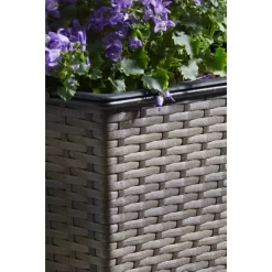 Gartenfreude Balkonkasten 50 Cm X 19 Cm Cappuccino Mit Bewässerungssystem -Schwingen Sie Ihre Topfpflanzen. 159794 4655 pt02