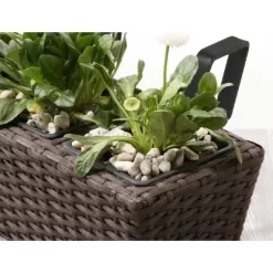 Gartenfreude Balkonkasten Polyrattan 47 Cm X 17 Cm Mocca 2 Stück -Schwingen Sie Ihre Topfpflanzen. 159819 4655 pt02
