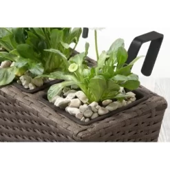 Gartenfreude Balkonkasten Polyrattan 47 Cm X 17 Cm Cappuccino 2 Stück -Schwingen Sie Ihre Topfpflanzen. 159820 4655 pt02
