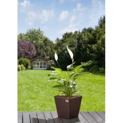 Gartenfreude Pflanzkübel Polyrattan Konisch 32 Cm X 32 Cm Bicolour Braun 2er-Set 5 Gartenfreude Pflanzkübel Polyrattan Konisch 32 Cm X 32 Cm Bicolour Braun 2er-Set -Schwingen Sie Ihre Topfpflanzen. 160136 4655 pt01