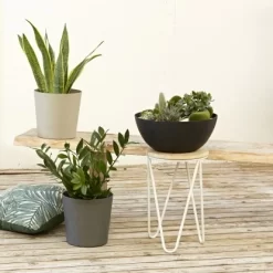 Poétic Pflanztopf Element Ø 25 Cm X 24 Cm Kalkstein -Schwingen Sie Ihre Topfpflanzen. 173327 2984 5