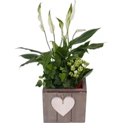 Arrangement In HolztopfTopf-Ø Ca. 15 Cm