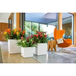 Lechuza Pflanzgefäß Cube Premium 30 Cm X 30 Cm Weiß Hochglanz -Schwingen Sie Ihre Topfpflanzen. 261547 4186 4