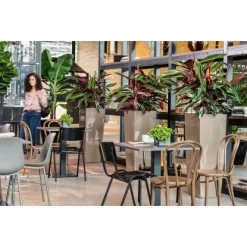 Lechuza Pflanzgefäß Cubico Alto Premium 40 Cm X 40 Cm Taupe Hochglanz -Schwingen Sie Ihre Topfpflanzen. 261659 4186 5