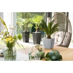 Lechuza Pflanzgefäß Quadro Premium LS 22 Cm X 22 Cm X 21 Cm Silber Metallic -Schwingen Sie Ihre Topfpflanzen. 261790 4186 3