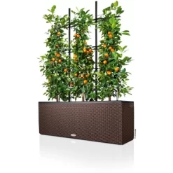 Lechuza Pflanzgefäß Trio Cottage 100 Cm X 32 Cm X 34 Cm Mokka -Schwingen Sie Ihre Topfpflanzen. 262240 4186 3