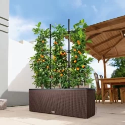 Lechuza Pflanzgefäß Trio Cottage 100 Cm X 32 Cm X 34 Cm Mokka -Schwingen Sie Ihre Topfpflanzen. 262240 4186 4