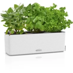 Lechuza Pflanzgefäß Cube Color Triple 40 Cm X 14 Cm X 14 Cm Weiß -Schwingen Sie Ihre Topfpflanzen. 262620 4186 3