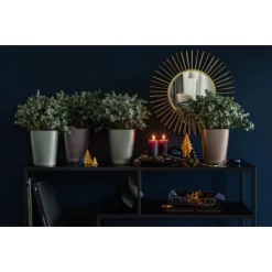 Lechuza Pflanzgefäß Deltini Green Sparkle Ø 14 Cm -Schwingen Sie Ihre Topfpflanzen. 262739 4186 2