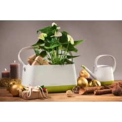 Lechuza Pflanzgefäß Yula Pflanztasche 38 Cm X 17 Cm X 33 Cm Weiß-Grün -Schwingen Sie Ihre Topfpflanzen. 262798 4186 5