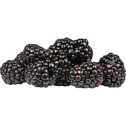 Herbstbrombeere "Little Black Prince" Höhe Ca. 40 - 60 Cm Topf Ca. 6 L Rubus 2 Herbstbrombeere "Little Black Prince" Höhe Ca. 40 - 60 Cm Topf Ca. 6 L Rubus – Bild 2