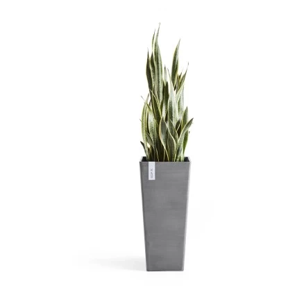 Ecopots Pflanztopf Rotterdam High 32,5 Cm X 32,5 CmGrau 2 Ecopots Pflanztopf Rotterdam High 32,5 Cm X 32,5 CmGrau – Bild 2