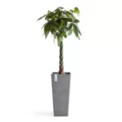Ecopots Pflanztopf Rotterdam High 32,5 Cm X 32,5 CmGrau 9 Ecopots Pflanztopf Rotterdam High 32,5 Cm X 32,5 CmGrau -Schwingen Sie Ihre Topfpflanzen. 39408484892 3