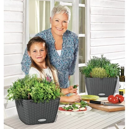 Lechuza Pflanzgefäß Bacino Cottage Granit 30 X 30 Cm Mit Erdbewässerungssystem 4 Lechuza Pflanzgefäß Bacino Cottage Granit 30 X 30 Cm Mit Erdbewässerungssystem – Bild 4