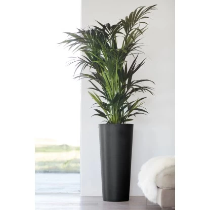 Ecopots Pflanztopf Amsterdam Hoch Dunkelgrau 70 Cm 1 Ecopots Pflanztopf Amsterdam Hoch Dunkelgrau 70 Cm