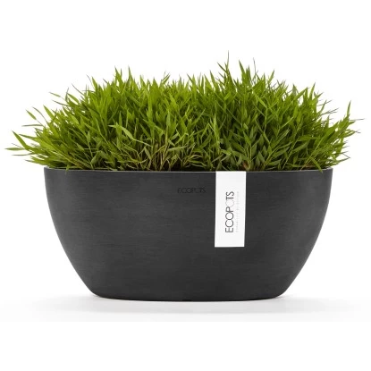 Ecopots Pflanztopf Sofia+WasBeh Dunkelgrau 30 Cm 2 Ecopots Pflanztopf Sofia+WasBeh Dunkelgrau 30 Cm – Bild 2