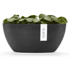Ecopots Pflanztopf Sofia+WasBeh Dunkelgrau 30 Cm 8 Ecopots Pflanztopf Sofia+WasBeh Dunkelgrau 30 Cm -Schwingen Sie Ihre Topfpflanzen. 5413724307051 11012100 04