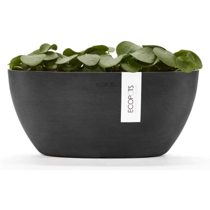 Ecopots Pflanztopf Sofia+WasBeh Dunkelgrau 30 Cm 4 Ecopots Pflanztopf Sofia+WasBeh Dunkelgrau 30 Cm – Bild 4