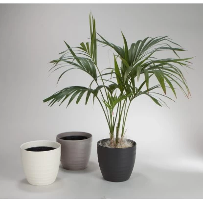 Scheurich Übertopf 923 Ø 28 Cm Taupe Mit Teku Innencontainer 2 Scheurich Übertopf 923 Ø 28 Cm Taupe Mit Teku Innencontainer – Bild 2