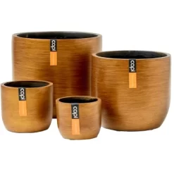 Capi Gemischte Box Mit 4 Töpfen Retro Gold