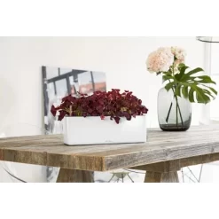 Lechuza Pflanzgefäß Cube Glossy Triple Weiß Highgloss 40 Cm X 14 Cm -Schwingen Sie Ihre Topfpflanzen. 754137 4186 3