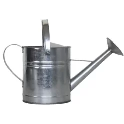 Zink-Gießkanne 5,0 Liter Silber