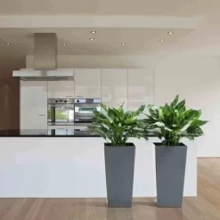 Siena Garden Pflanzgefäß Modern Lyon Anthrazit 35x35x68,0 Cm -Schwingen Sie Ihre Topfpflanzen. 8630329 1346 6