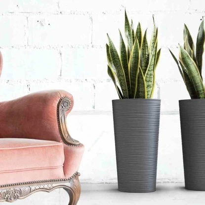 Siena Garden Pflanzgefäß Modern Locon Graphit Ø 25x46,5 Cm 4 Siena Garden Pflanzgefäß Modern Locon Graphit Ø 25x46,5 Cm – Bild 4