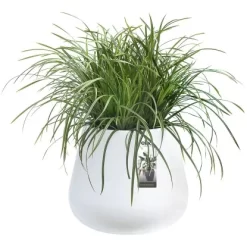 Elho Blumentopf Pure Cone Ø 43 Cm Weiß -Schwingen Sie Ihre Topfpflanzen. 8711904250706 4667 05