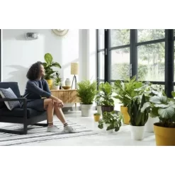 Elho Blumentopf B.for Original Mit Rollen Ø 35 Cm Ocker 10 Elho Blumentopf B.for Original Mit Rollen Ø 35 Cm Ocker -Schwingen Sie Ihre Topfpflanzen. 8711904331528 4667 03