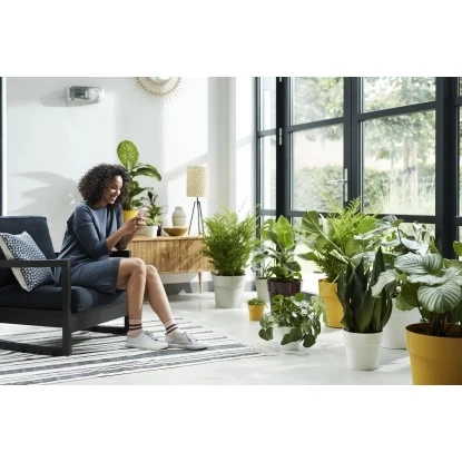 Elho Blumentopf B.for Original Mit Rollen Ø 35 Cm Ocker 8 Elho Blumentopf B.for Original Mit Rollen Ø 35 Cm Ocker – Bild 8