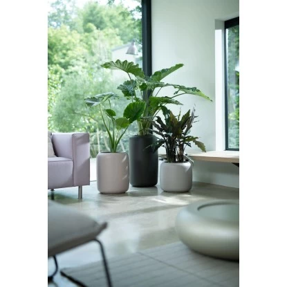 Elho Übertopf Pure Beads Small Ø 39,2 Cm Kieselrosa 1 Elho Übertopf Pure Beads Small Ø 39,2 Cm Kieselrosa