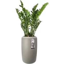 Elho Übertopf Pure Beads Large Ø 39,2 Cm Balanced Beige -Schwingen Sie Ihre Topfpflanzen. 8711904350246 4667 04