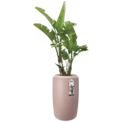 Elho Übertopf Pure Beads Large Ø 39,2 Cm Kieselrosa -Schwingen Sie Ihre Topfpflanzen. 8711904350284 4667 05