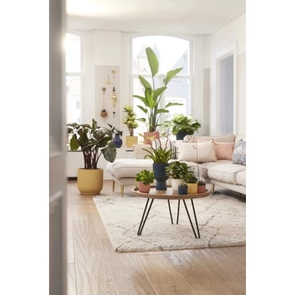 Elho Blumentopf Vibes Fold Mit Rollen Ø 34,9 Cm Seidenweiß 2 Elho Blumentopf Vibes Fold Mit Rollen Ø 34,9 Cm Seidenweiß – Bild 2