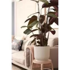 Elho Blumentopf Vibes Fold Mit Rollen Ø 34,9 Cm Seidenweiß 15 Elho Blumentopf Vibes Fold Mit Rollen Ø 34,9 Cm Seidenweiß -Schwingen Sie Ihre Topfpflanzen. 8711904494728 4667 08