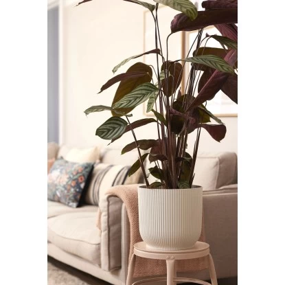 Elho Blumentopf Vibes Fold Mit Rollen Ø 34,9 Cm Seidenweiß 8 Elho Blumentopf Vibes Fold Mit Rollen Ø 34,9 Cm Seidenweiß – Bild 8