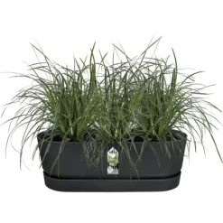 Elho Übertopf Greenville Easy Balcony 19,4 Cm X 52 Cm Living Schwarz -Schwingen Sie Ihre Topfpflanzen. 8711904496395 4667 06