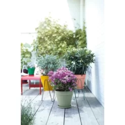 Elho Blumentopf Loft Urban Rund Mit Rollen Ø 48,5 Cm Pistaziengrün -Schwingen Sie Ihre Topfpflanzen. 8711904500597 4667 13